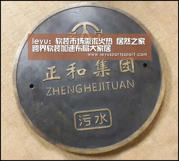 leyu:软装市场需求火热 居然之家跨界软装加速布局大家居(图2) 乐鱼娱乐