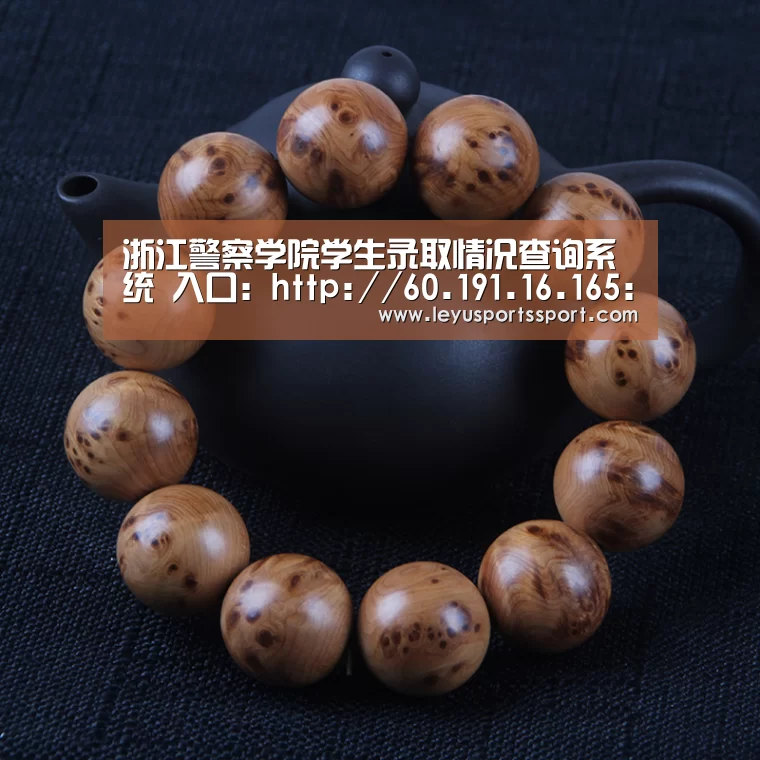 浙江警察学院学生录取情况查询系统 入口:http://60.191.16.165:8000/default.aspx‘乐鱼体育官方网站’(图3) 乐鱼体育